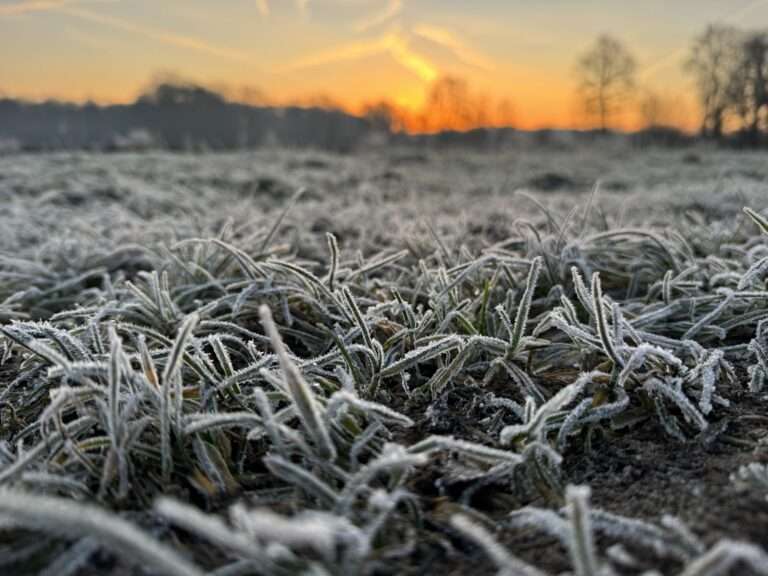 Frost und Glätte kehren zurück: Münster erwartet kältere Tage