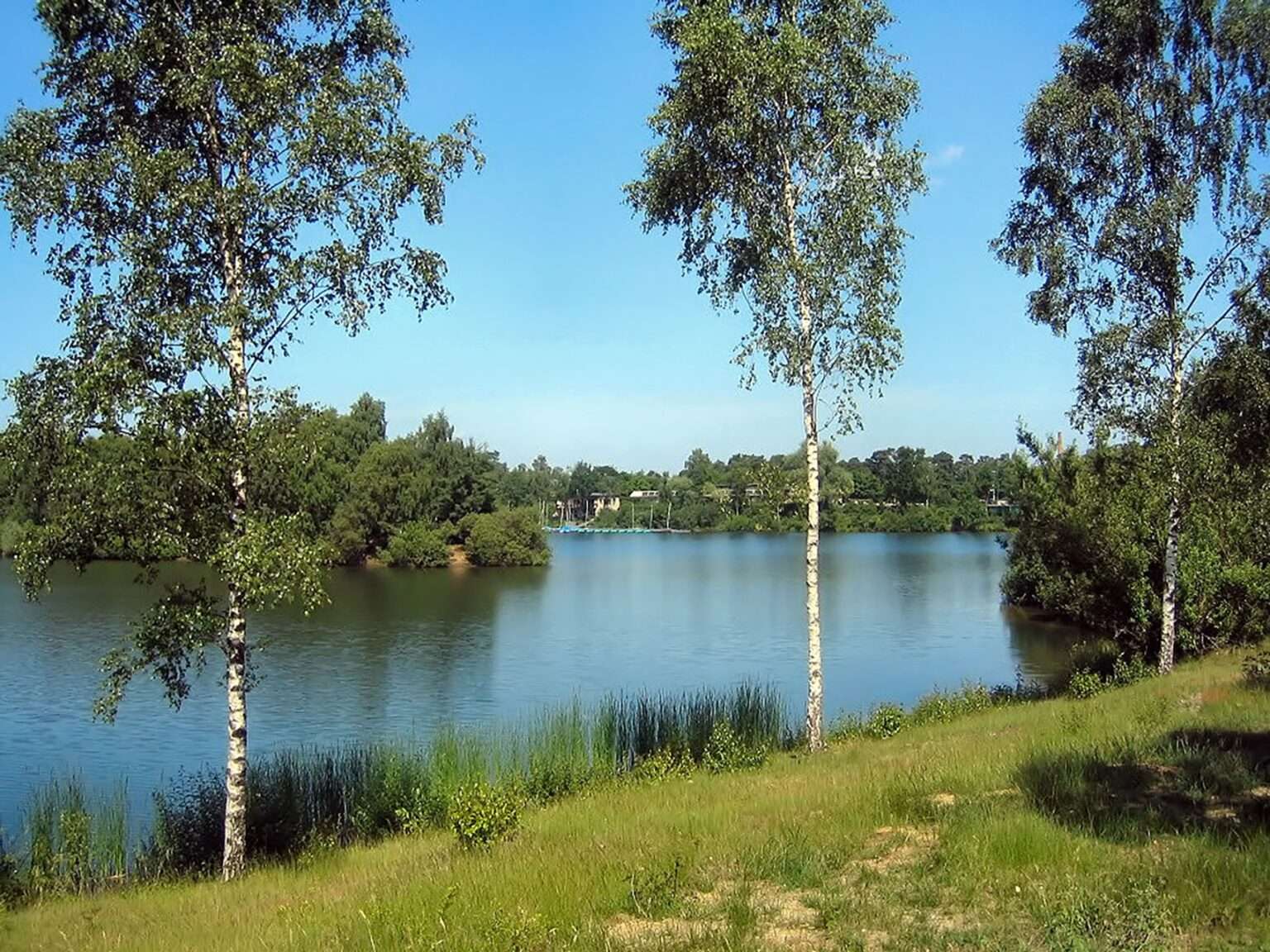 Stadt Münster setzt Ultraschall gegen Blaualgen im Hiltruper See aus. Monitoring und Gutachten prüfen die natürliche Stabilität des Gewässers.