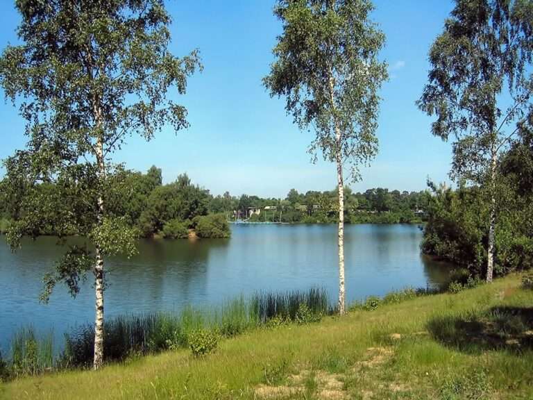 Stadt Münster setzt Ultraschall gegen Blaualgen im Hiltruper See aus. Monitoring und Gutachten prüfen die natürliche Stabilität des Gewässers.