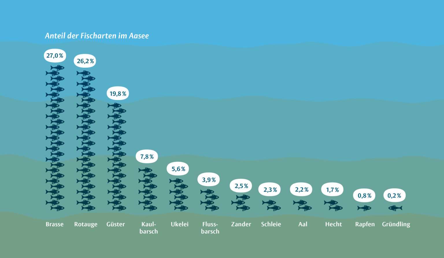 Mehr Raubfische im Aasee: Münster treibt Umbau des Sees voran