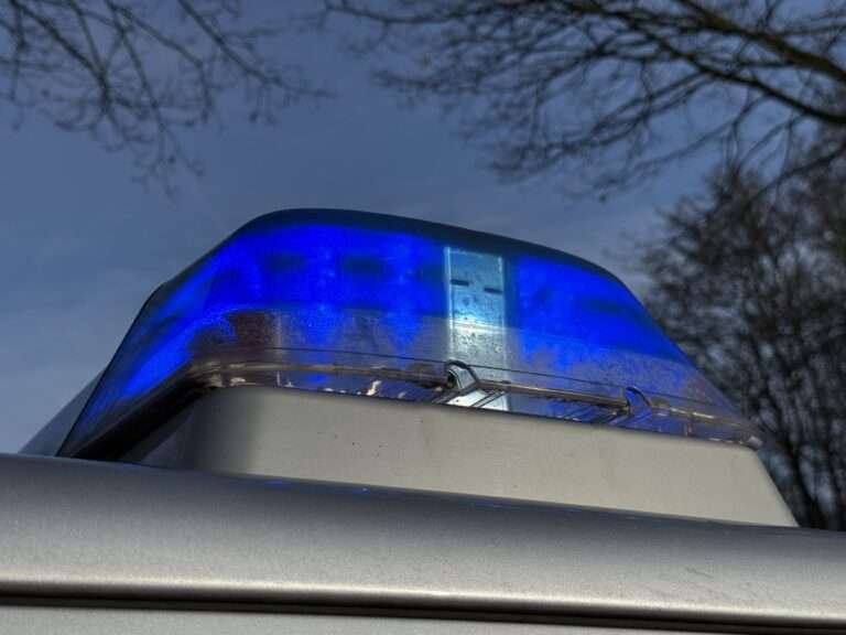 Mit mehr als 100 km/h vor Polizei geflüchtet: Mercedes landet in der Donau