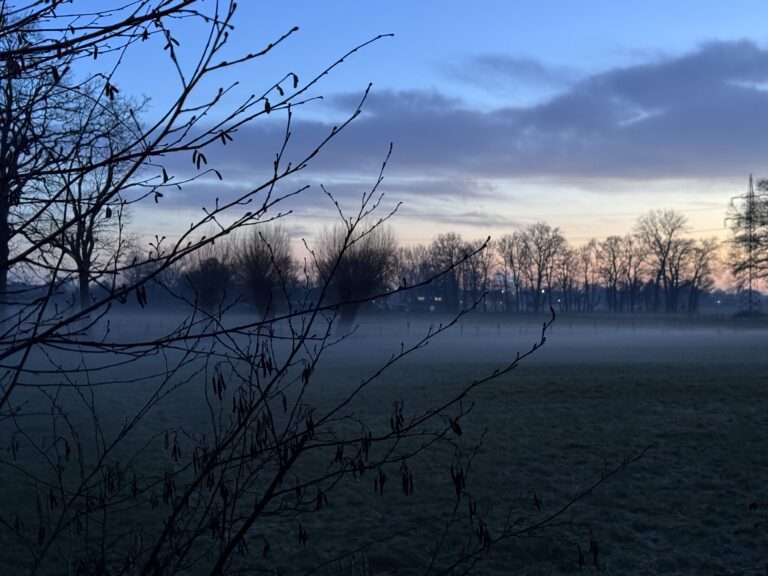 Erst Hitze, dann Polarluft? Deutschlands Großwetterlage könnte deutlich kippen