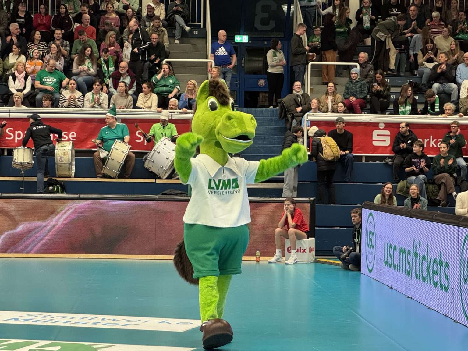 USC Münster startet gegen Wiesbaden in die neue Bundesliga-Saison
