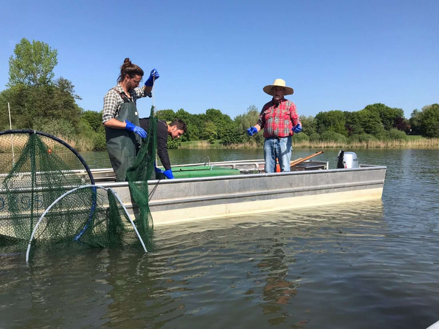 Aasee Befischung Münster: Stadt entnimmt gezielt Friedfische, um das ökologische Gleichgewicht im See langfristig zu stabilisieren.