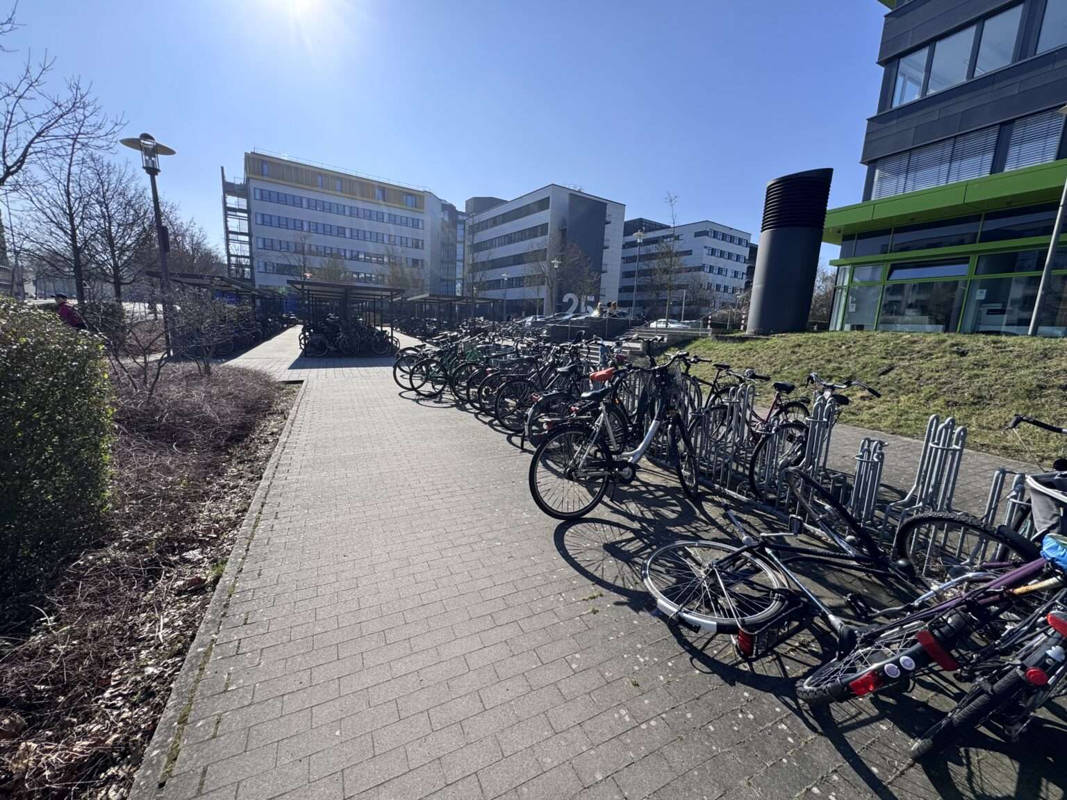 GEW aus Münster erhöht den Druck für eine umfassende BAföG-Reform