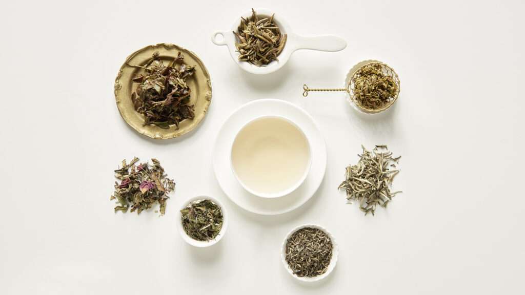 Weißer Tee entdeckt ein neues Publikum – warum die milde Teesorte plötzlich Aufmerksamkeit bekommt