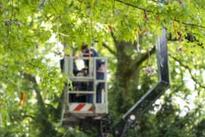 Der Schnullerbaum in Münster startet am 6. Mai am Coerdeplatz. Kinder können dort bis Oktober ihren Schnuller abgeben.
