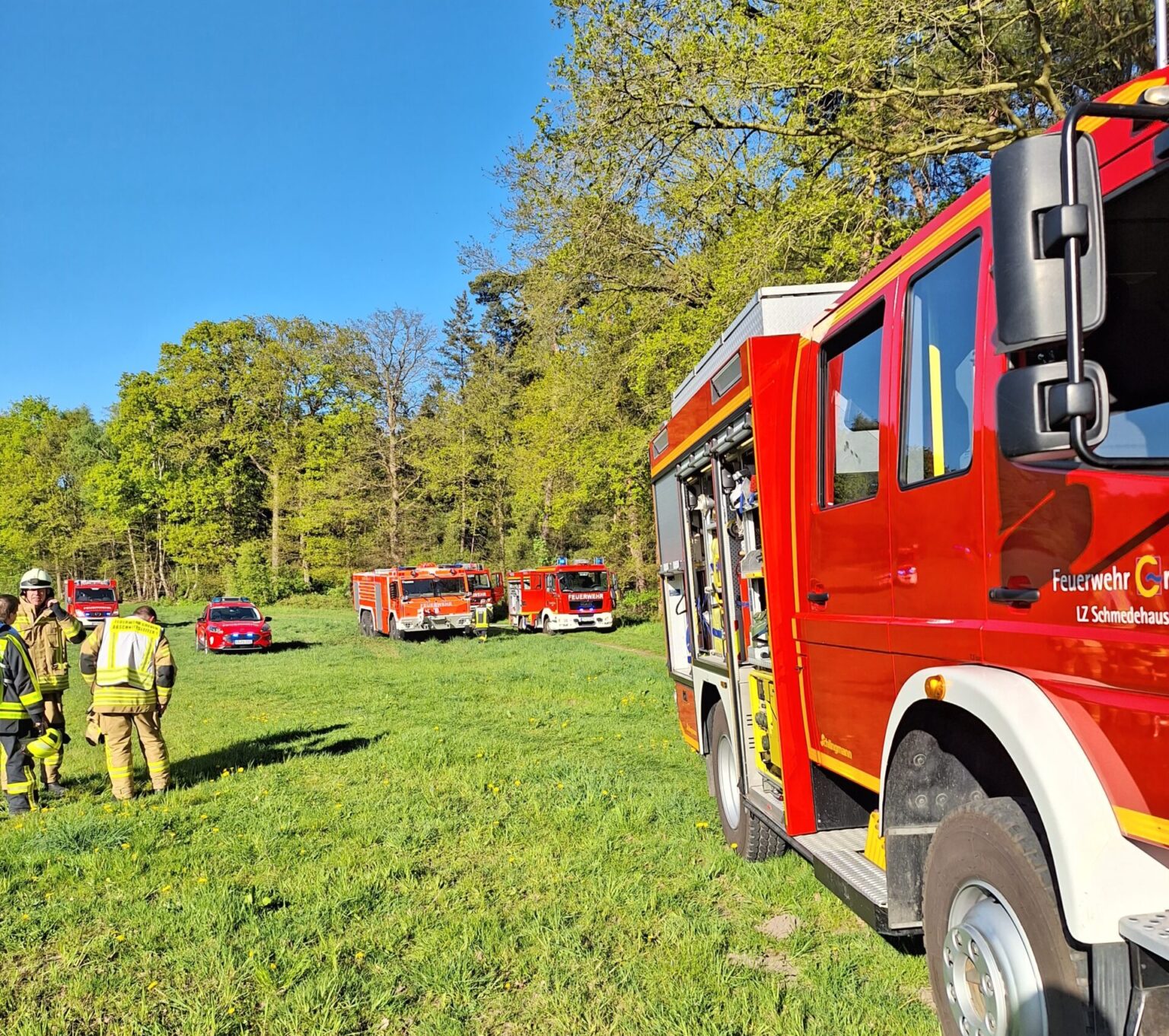 Waldbrand in Greven löst Großeinsatz der Feuerwehr aus
