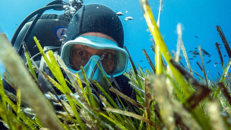 Terra X Faszination Wasser führt von Palau bis ins Mittelmeer