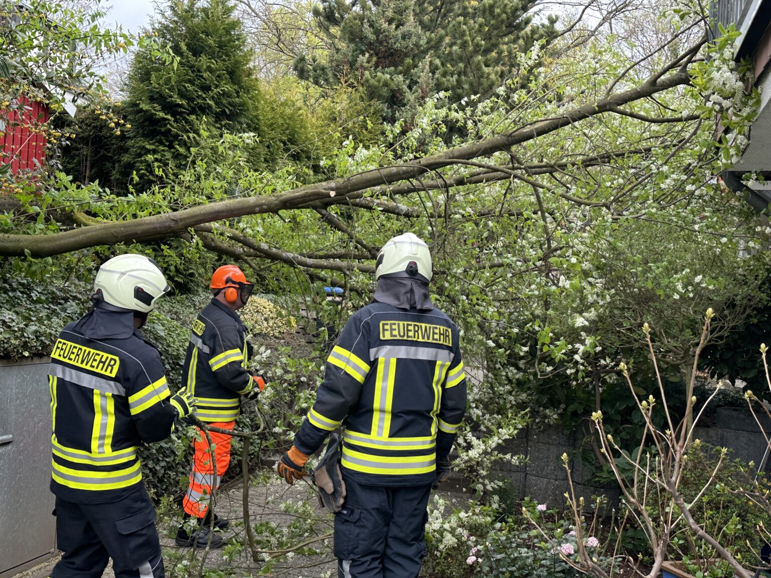 Windböen in Sprockhövel: Baum stürzt auf ein Wohnhaus