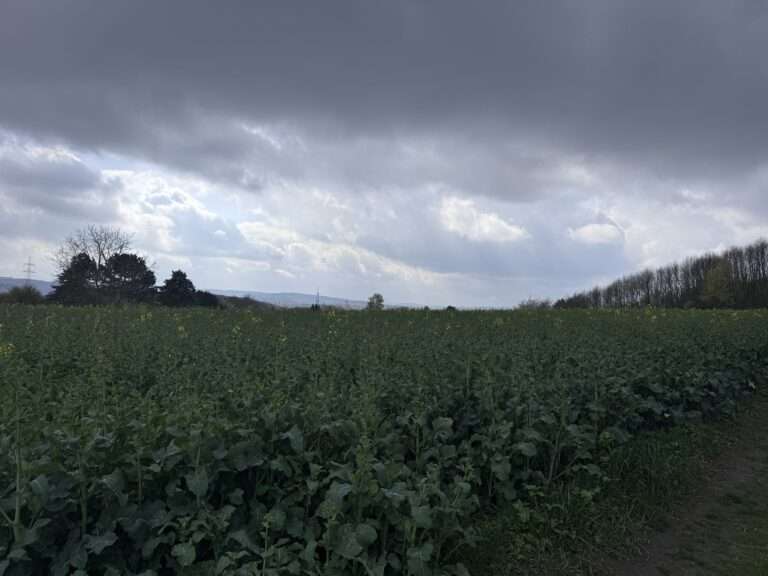 Wetter Münster: Zum Wochenende könnten 23 Grad kommen