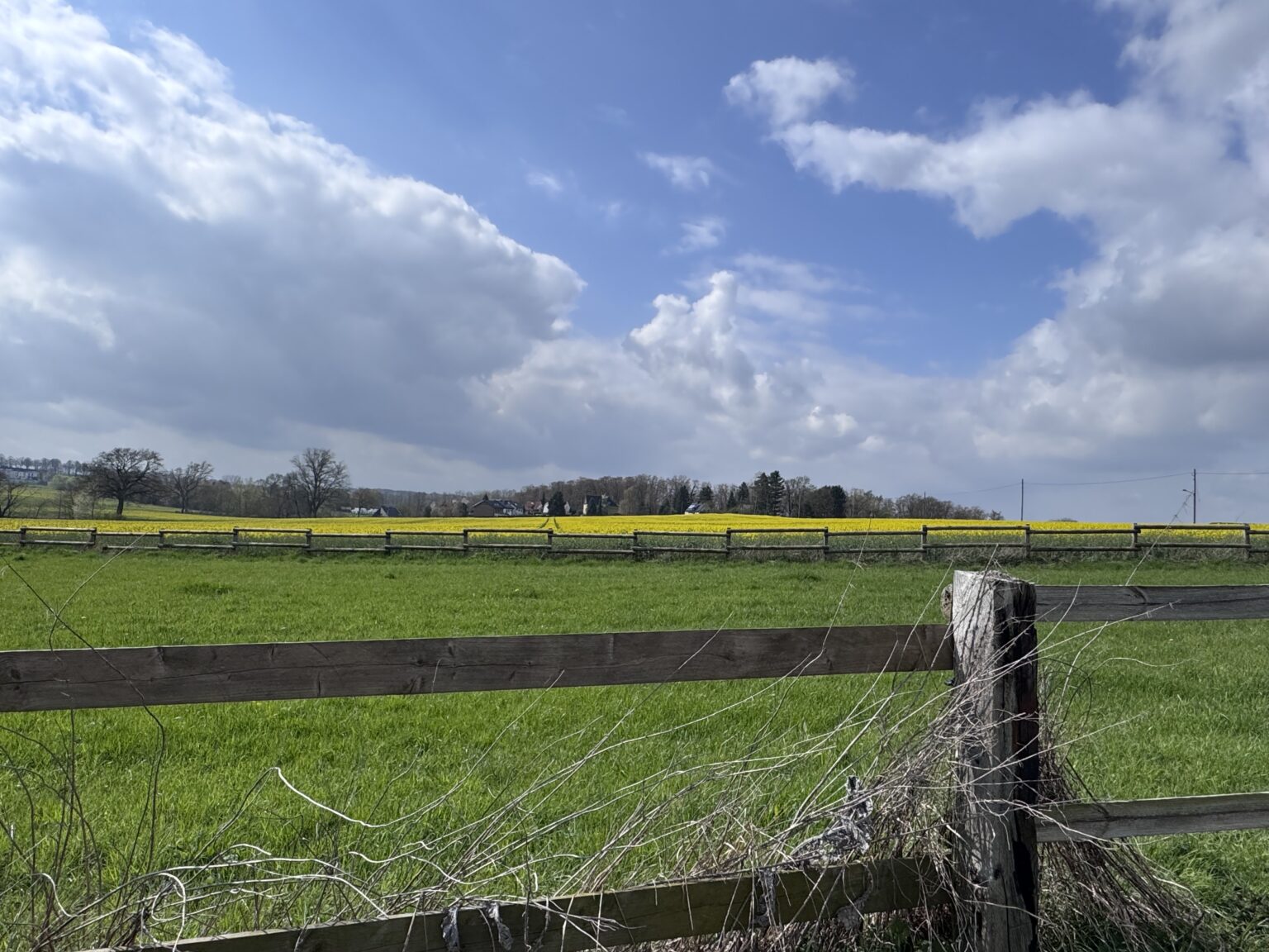 Münster startet wechselhaft in die neue Wetterwoche