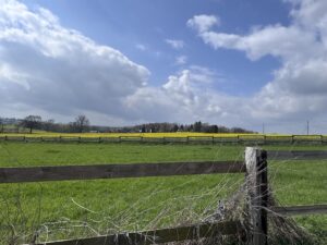 Münster startet wechselhaft in die neue Wetterwoche