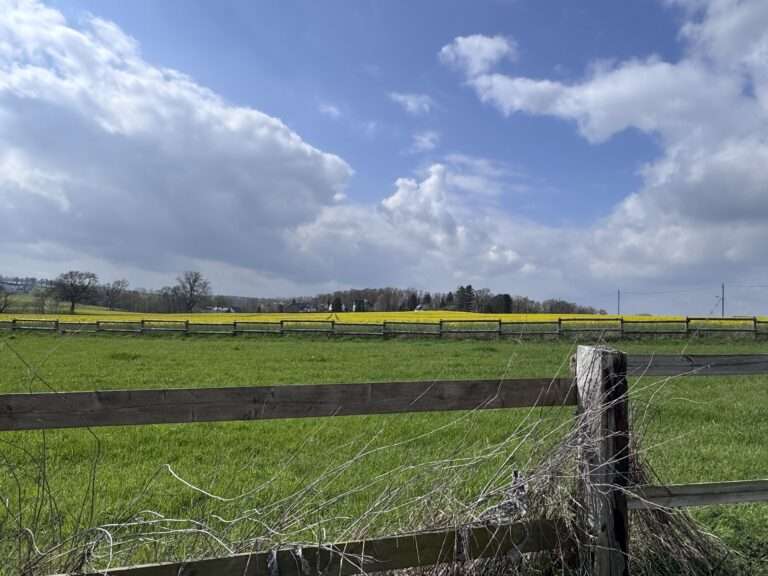 Münster startet wechselhaft in die neue Wetterwoche