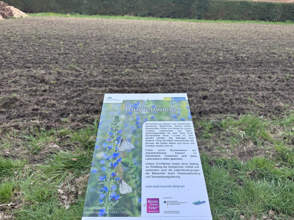 Münster legt neue Umweltdaten vor, bei Klima und Verkehr gibt es Fortschritte