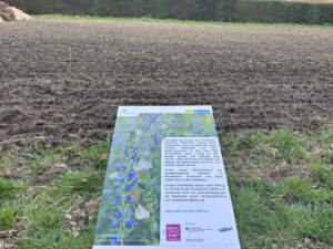 Münster legt neue Umweltdaten vor, bei Klima und Verkehr gibt es Fortschritte