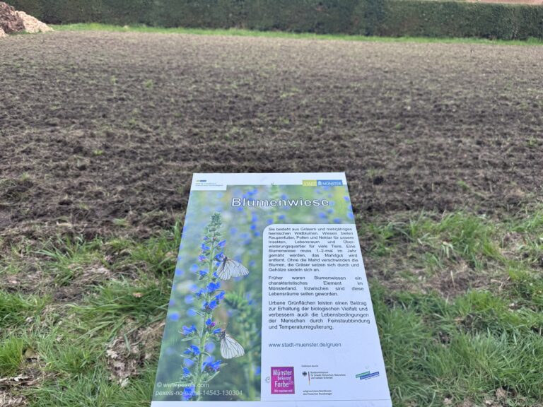 Münster legt neue Umweltdaten vor, bei Klima und Verkehr gibt es Fortschritte