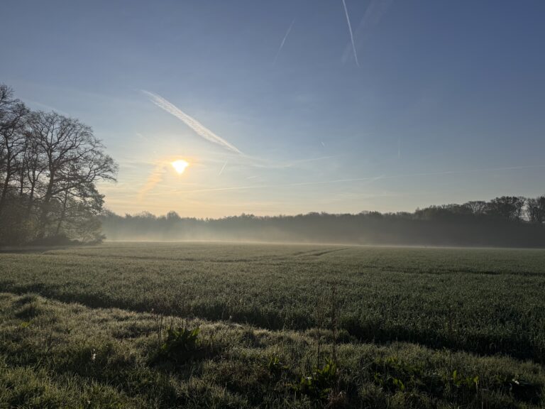 Eisheilige in Münster: Warum Mitte Mai noch kritisch werden kann