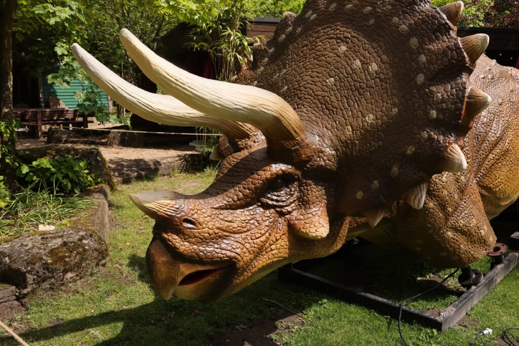 Im Allwetterzoo Münster entsteht eine neue Dinosaurier-Ausstellung mit 28 lebensgroßen Modellen. Am 1. Juni haben Kinder freien Eintritt.