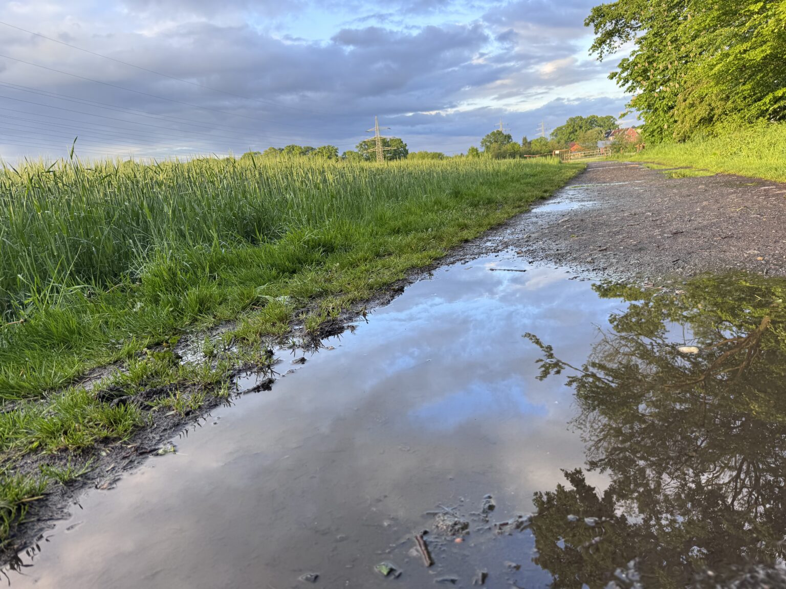 Nach Regentagen wird das Wetter in Münster langsam freundlicher