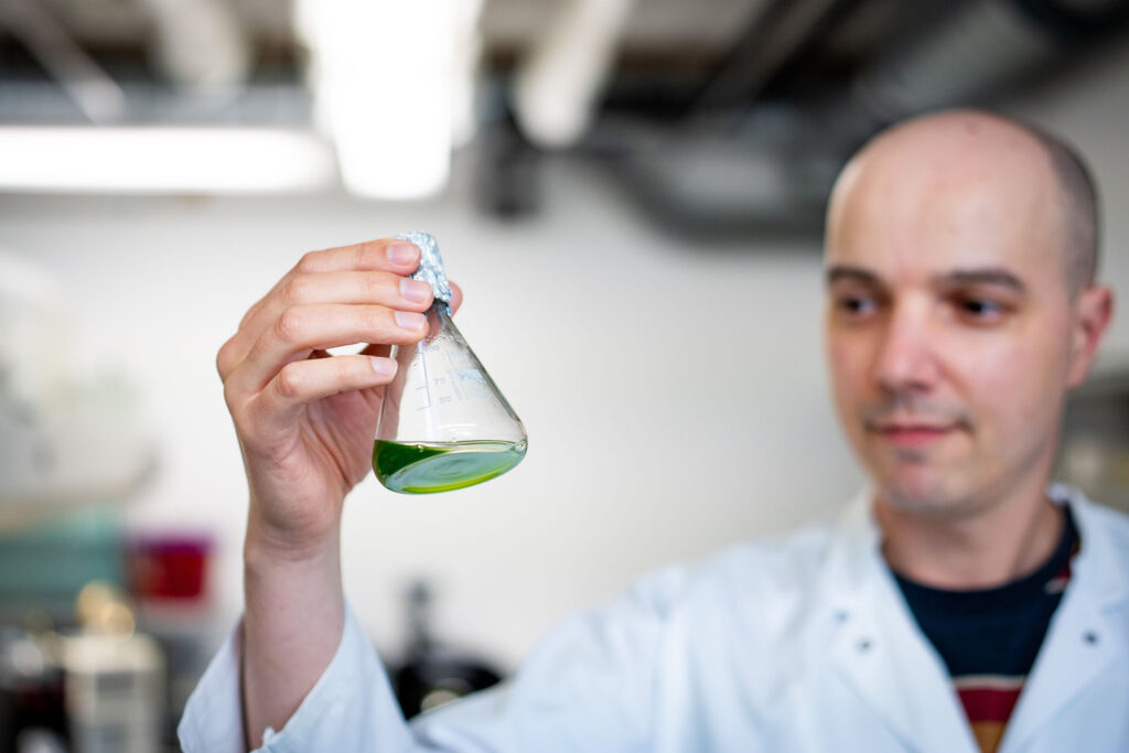 Forschende der Universität Münster entdecken einen neuen Photosynthese-Schalter, der Pflanzen bei wechselndem Licht hilft.