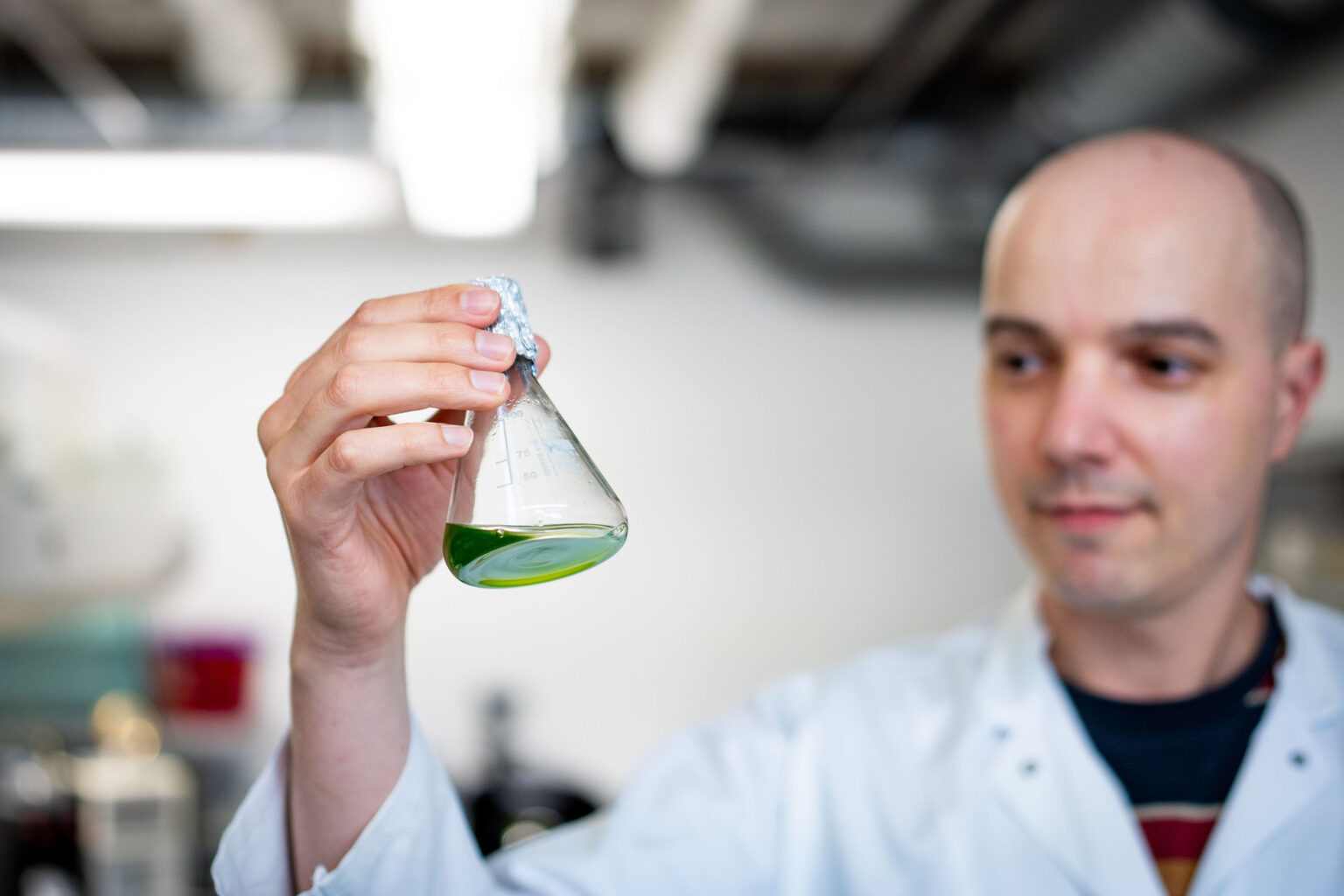 Forschende der Universität Münster entdecken einen neuen Photosynthese-Schalter, der Pflanzen bei wechselndem Licht hilft.