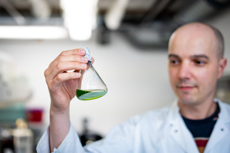 Forschende der Universität Münster entdecken einen neuen Photosynthese-Schalter, der Pflanzen bei wechselndem Licht hilft.