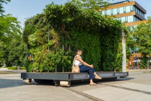 Das Mobile Grüne Zimmer zeigt am Hafen, wie Pflanzen Münster besser vor Hitze und Starkregen schützen können.