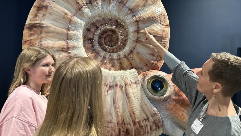 Dinos, Fossilien und urzeitliche Riffe: Im LWL-Museum Münster startet die neue Ausstellung über NRWs vergessene Welten.