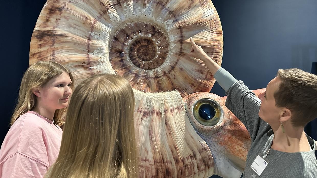 Dinos, Fossilien und urzeitliche Riffe: Im LWL-Museum Münster startet die neue Ausstellung über NRWs vergessene Welten.