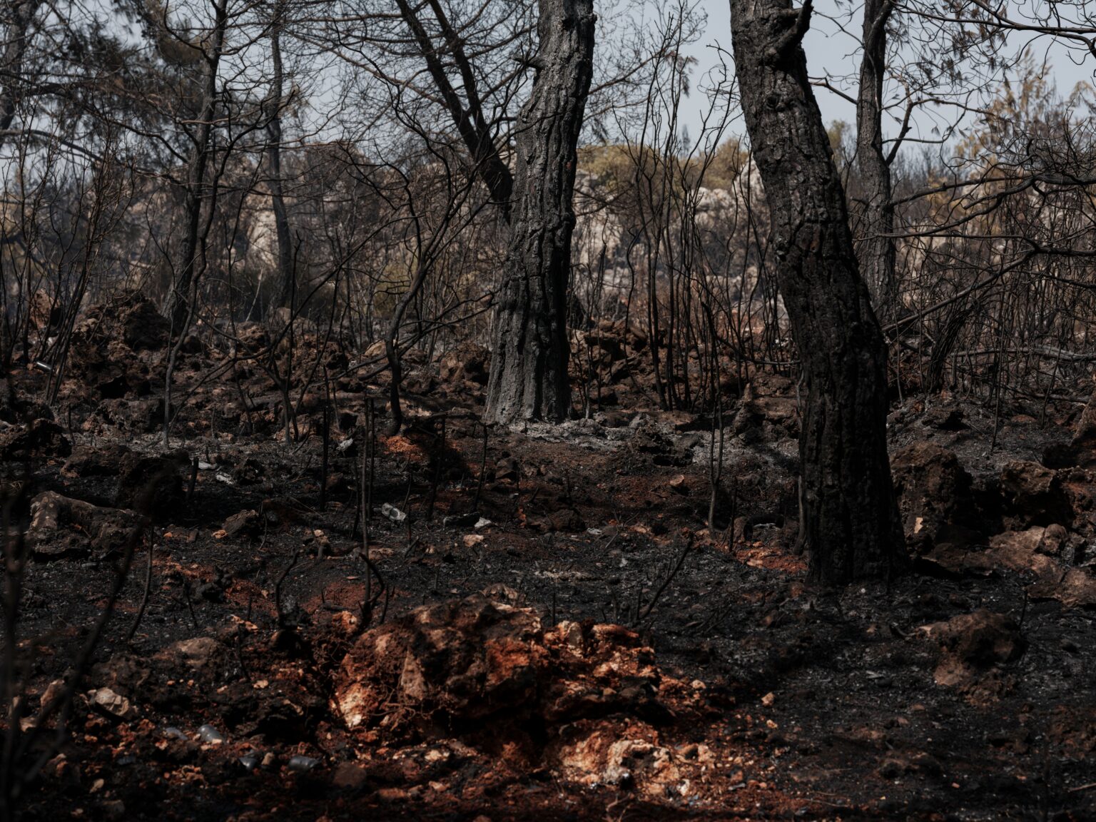 Waldbrand auf Paros, Evakuierung
