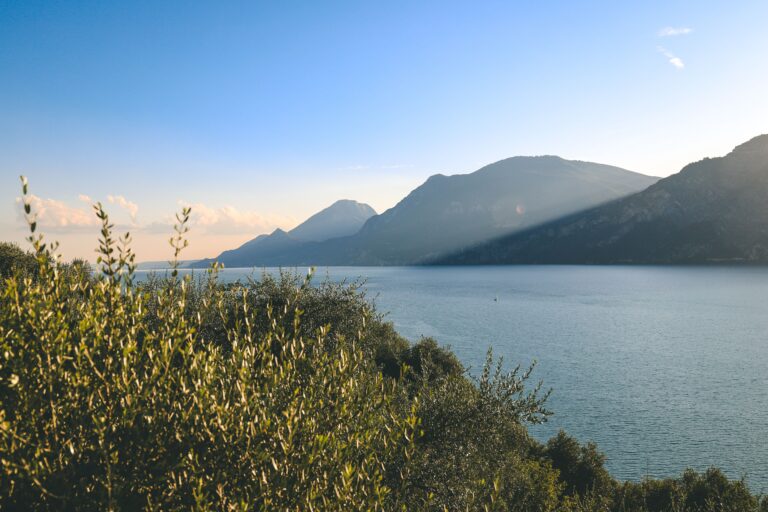 Gardasee vom Riesenwels bedroht