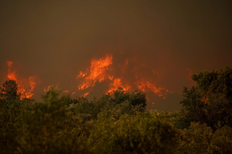 Waldbrand auf Kreta: 8.000 Menschen aus Agia Galini evakuiert.