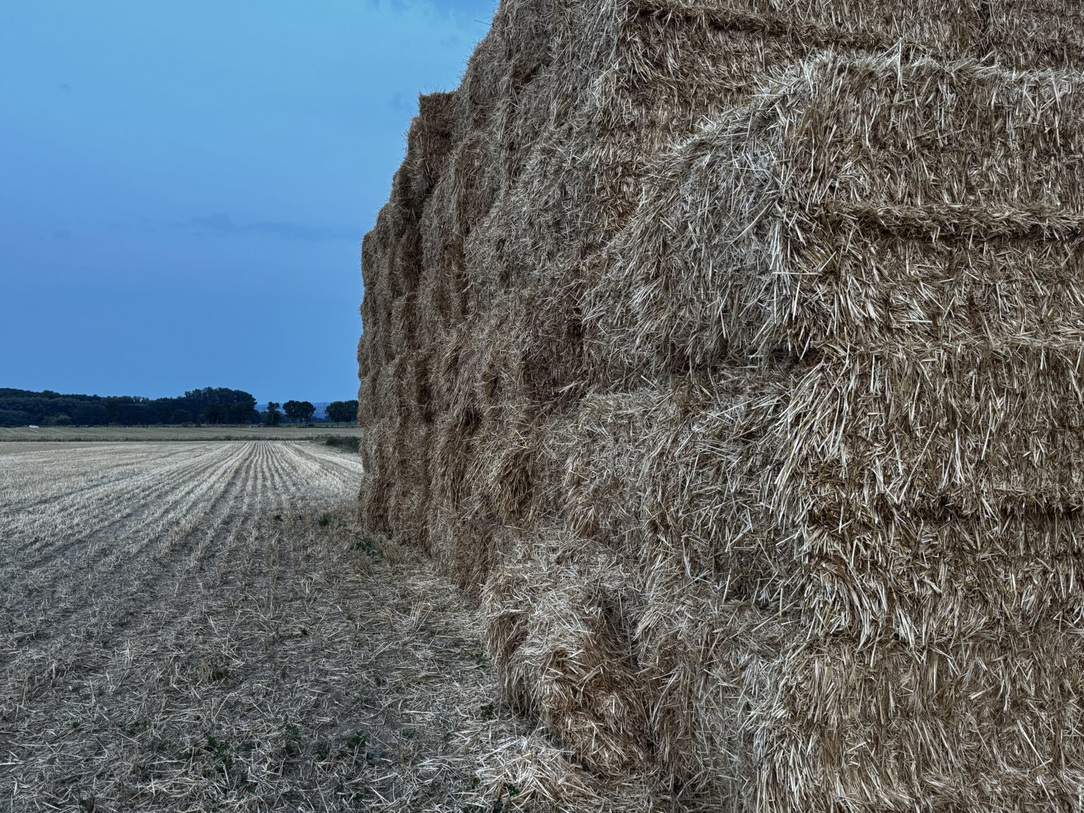 Landwirte setzen stärker auf Öko-Regelungen, Bund will zwei neue Modelle streichen