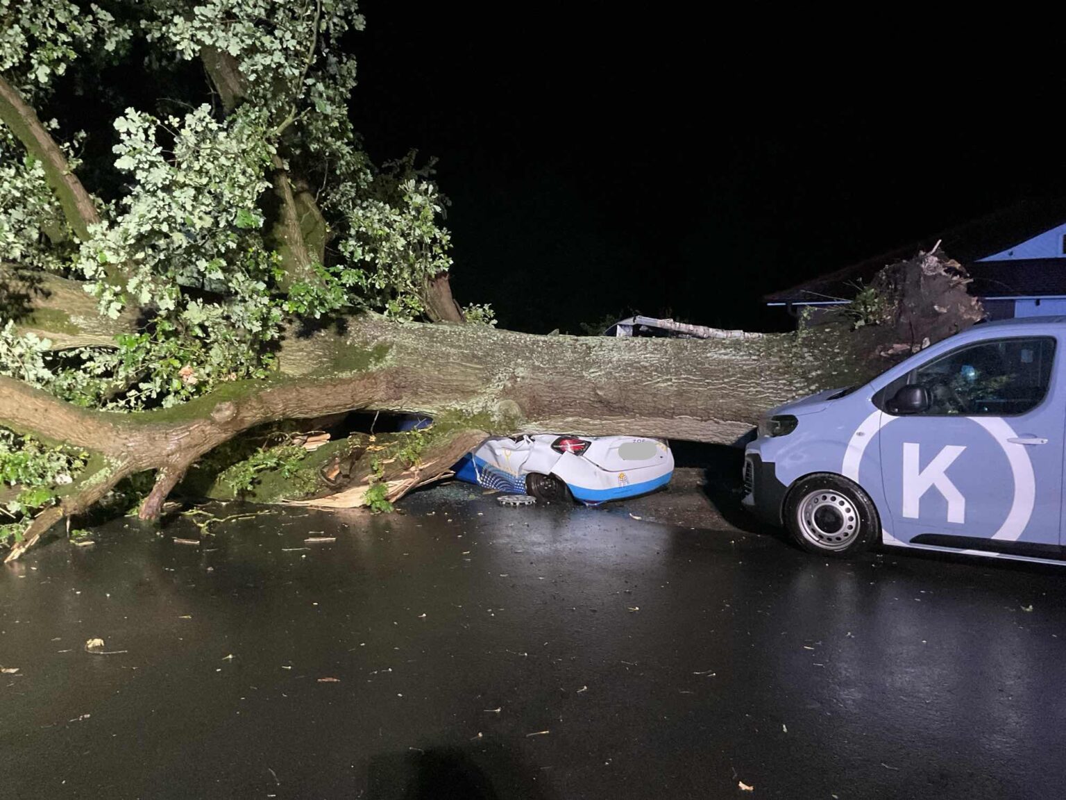 Unwetter in Münster-Hiltrup: Starkregen und Sturmböen lassen eine massive Eiche auf zwei geparkte Autos stürzen. Verletzt wird niemand.