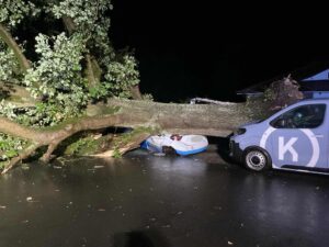 Unwetter in Münster-Hiltrup: Starkregen und Sturmböen lassen eine massive Eiche auf zwei geparkte Autos stürzen. Verletzt wird niemand.