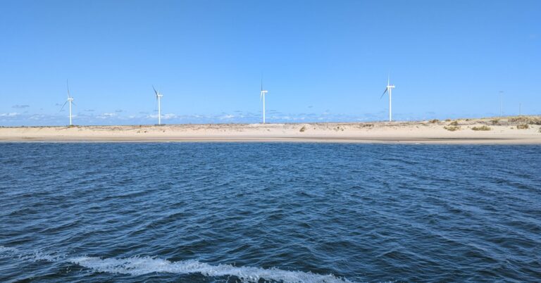 Trump-Regierung zahlt RWE 1,22 Milliarden Dollar für Wind-Ausstieg