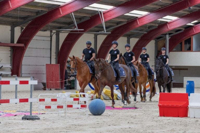 Belgische Polizei sucht in Münster-Handorf neue Einsatzpferde